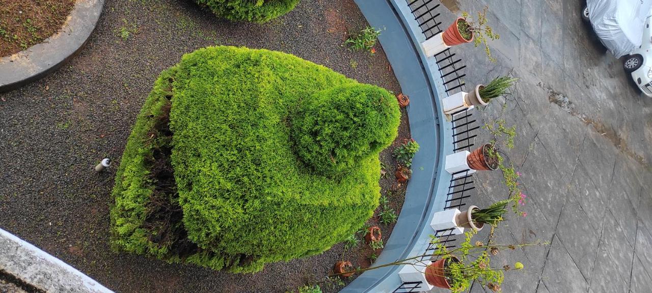Pepper Valley Resort Kalpetta Εξωτερικό φωτογραφία